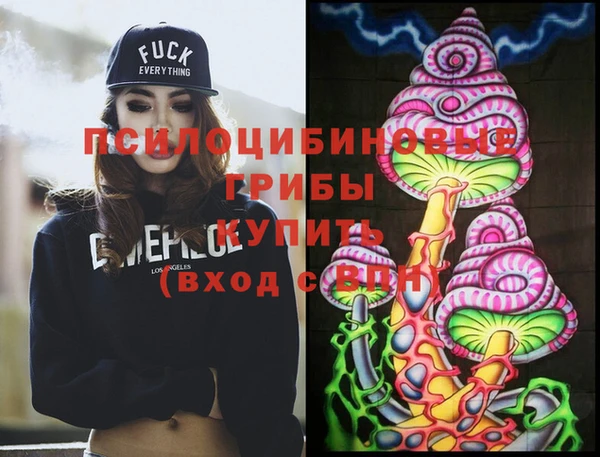 метадон Елизово