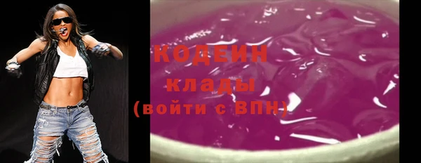 дживик Шали
