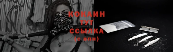 метадон Елизово