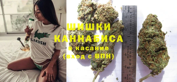 метадон Елизово