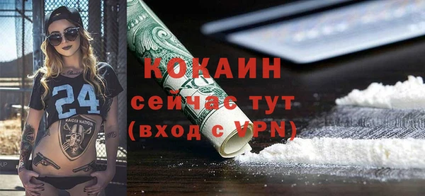 дживик Шали