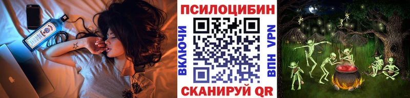 Галлюциногенные грибы Psilocybine cubensis  Сковородино 